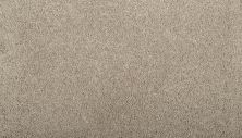 Mohawk Everstrand Inheritance Smokey Taupe 3N34-829