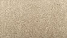 Mohawk Everstrand Inheritance Biscotti 3N34-864