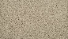 Mohawk Everstrand Sleek Tones Island Taupe 3N43-817