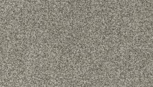 Mohawk Smartstrand Apricity Winter Fern 3N49-600
