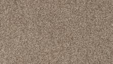 Mohawk Smartstrand Apricity Subtle Dune 3N49-868