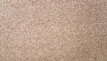 Mohawk Smartstrand Silk Natural Selection I Atrium 3N50-732