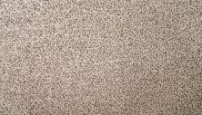 Mohawk Smartstrand Silk Natural Selection I Desert Scene 3N50-735