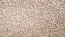 Mohawk Smartstrand Silk Natural Selection I Harmony 3N50-755