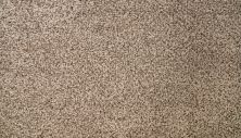 Mohawk Smartstrand Silk Natural Selection I Pebble Path 3N50-765