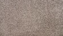 Mohawk Smartstrand Silk Natural Selection I Rocky Coast 3N50-931