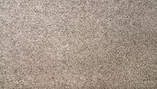 Mohawk Smartstrand Silk Natural Selection I Weathered Grey 3N50-937