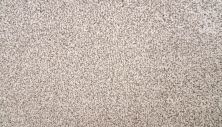Mohawk Smartstrand Silk Rustic Edge II Goose Down 3N53-809