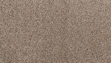 Karastan Smartstrand Silk Enchanted Fine White 3N69-9715