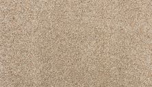 Karastan Smartstrand Silk Enchanted Softened Ash 3N69-9726