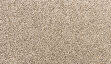 Karastan Smartstrand Silk Enchanted Sonora 3N69-9767