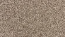 Karastan Smartstrand Silk Enchanted Hearthstone 3N69-9776