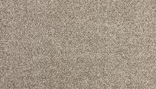 Karastan Smartstrand Silk Enchanted Grecian Column 3N69-9816