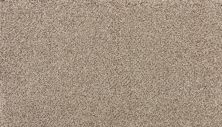 Karastan Smartstrand Silk Enchanted Fedora Grey 3N69-9937