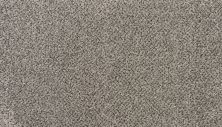 Karastan Smartstrand Silk Enchanted Waterfall 3N69-9955