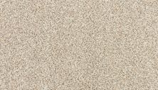 Karastan Smartstrand Instinctive Essence Fine White 3N70-9715