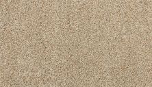 Karastan Smartstrand Instinctive Essence Softened Ash 3N70-9726