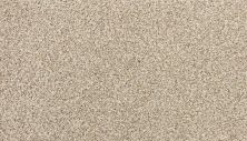 Karastan Smartstrand Instinctive Essence Paper Moon 3N70-9731