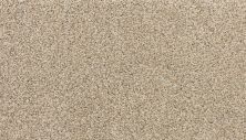 Karastan Smartstrand Instinctive Essence Sonora 3N70-9767