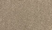 Karastan Smartstrand Instinctive Essence Hearthstone 3N70-9776