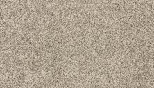 Karastan Smartstrand Instinctive Essence Grecian Column 3N70-9816