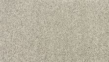 Karastan Smartstrand Instinctive Essence Poetry 3N70-9900