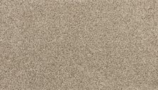 Karastan Smartstrand Instinctive Essence Fedora Grey 3N70-9937