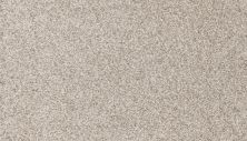 Mohawk Petpremier Canine Comfort Coconut 3N78-707