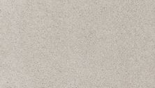 Mohawk Petpremier Canine Comfort Canvas Cloth 3N78-709