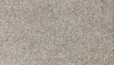 Mohawk Petpremier Canine Comfort Frosty Spice 3N78-769