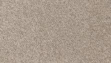 Mohawk Petpremier Canine Comfort Bisque 3N78-809