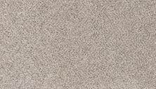 Mohawk Petpremier Canine Comfort Hazelnut 3N78-819