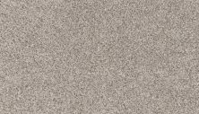 Mohawk Petpremier Canine Comfort Soapstone 3N78-837