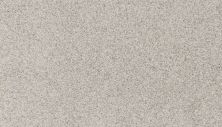 Mohawk Petpremier Canine Comfort London Fog 3N78-917