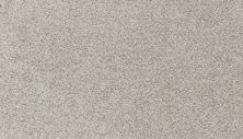 Mohawk Petpremier Canine Comfort Crystalline 3N78-927