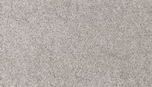 Mohawk Petpremier Canine Comfort Oyster 3N78-948