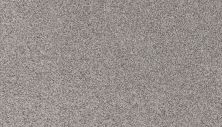 Mohawk Petpremier Furtastic Pebble Path 3N79-959