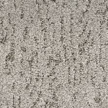 Mohawk Petpremier Bark And Roll Shadowed Earth 3N91-936