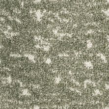 Mohawk Petpremier Meow Mosaic Jade Veil 3N93-667