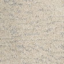 Mohawk Petpremier Meow Mosaic Tawny Silk 3N93-710