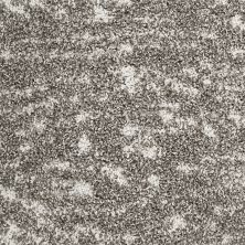 Mohawk Petpremier Meow Mosaic Sable Mist 3N93-858