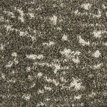 Mohawk Petpremier Meow Mosaic Coffee Glaze 3N93-869