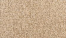 Karastan Smartstrand Framework Charm 3N98-9721