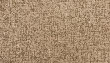 Karastan Smartstrand Framework Rhapsody 3N98-9843
