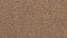 Mohawk Everstrand Forester Pretzel Twist 3O12-857