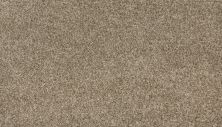 Mohawk Everstrand Encore Grovewood 3O15-755