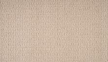 Mohawk Smartstrand Seamless View Tea Towel 3O36-720
