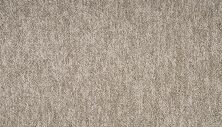 Mohawk Everstrand Oak Shade Brown Swirl 3O39-858