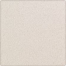 Karastan Smartstrand Silk Luxurious Beauty Designer White 43629-9700