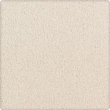 Karastan Smartstrand Silk Luxurious Beauty Frosted Reflections 43629-9702